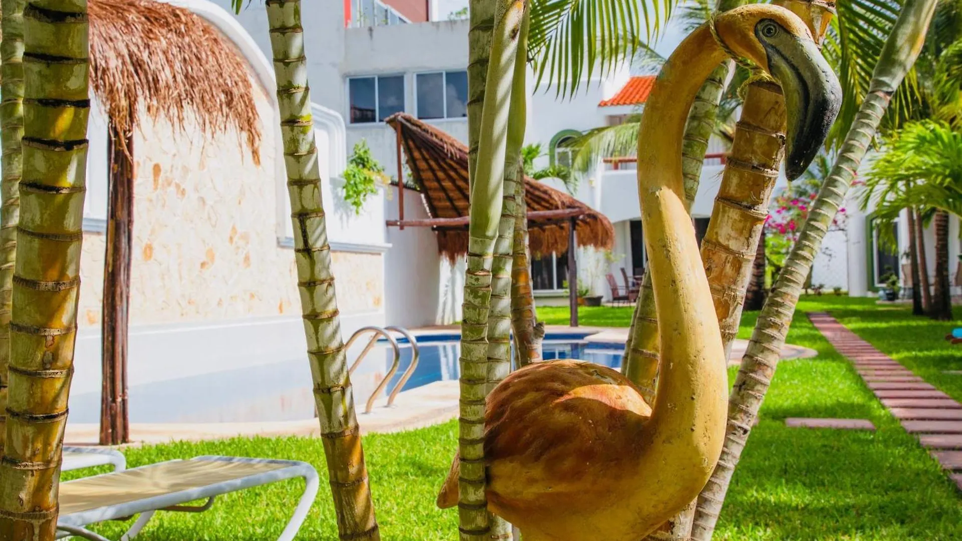Deluxe Budget Balcony Room With Swimming Pool Air Conditioning And Parking Playa del Carmen