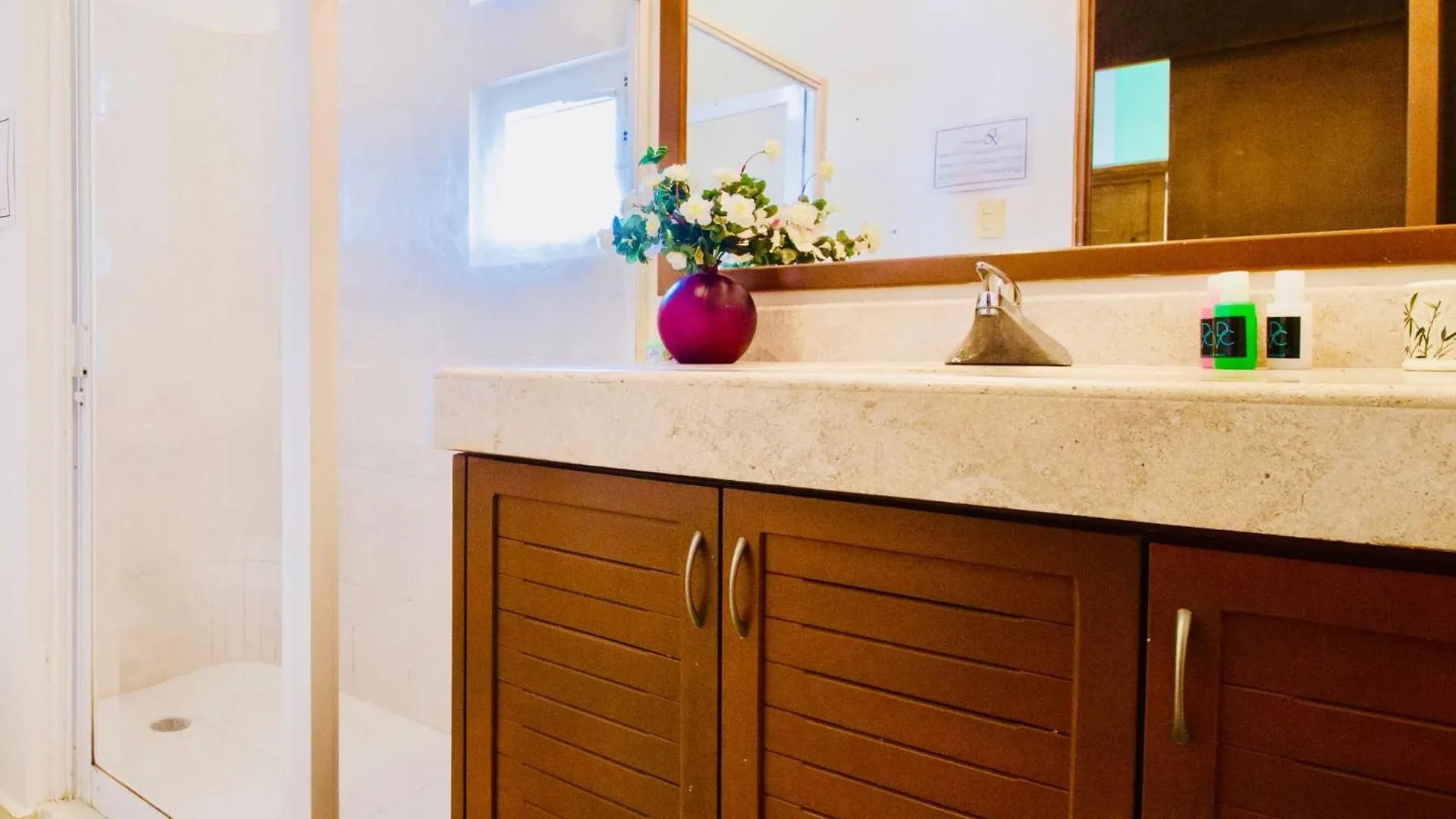 Guest house Deluxe Budget Balcony Room With Swimming Pool Air Conditioning And Parking Playa del Carmen
