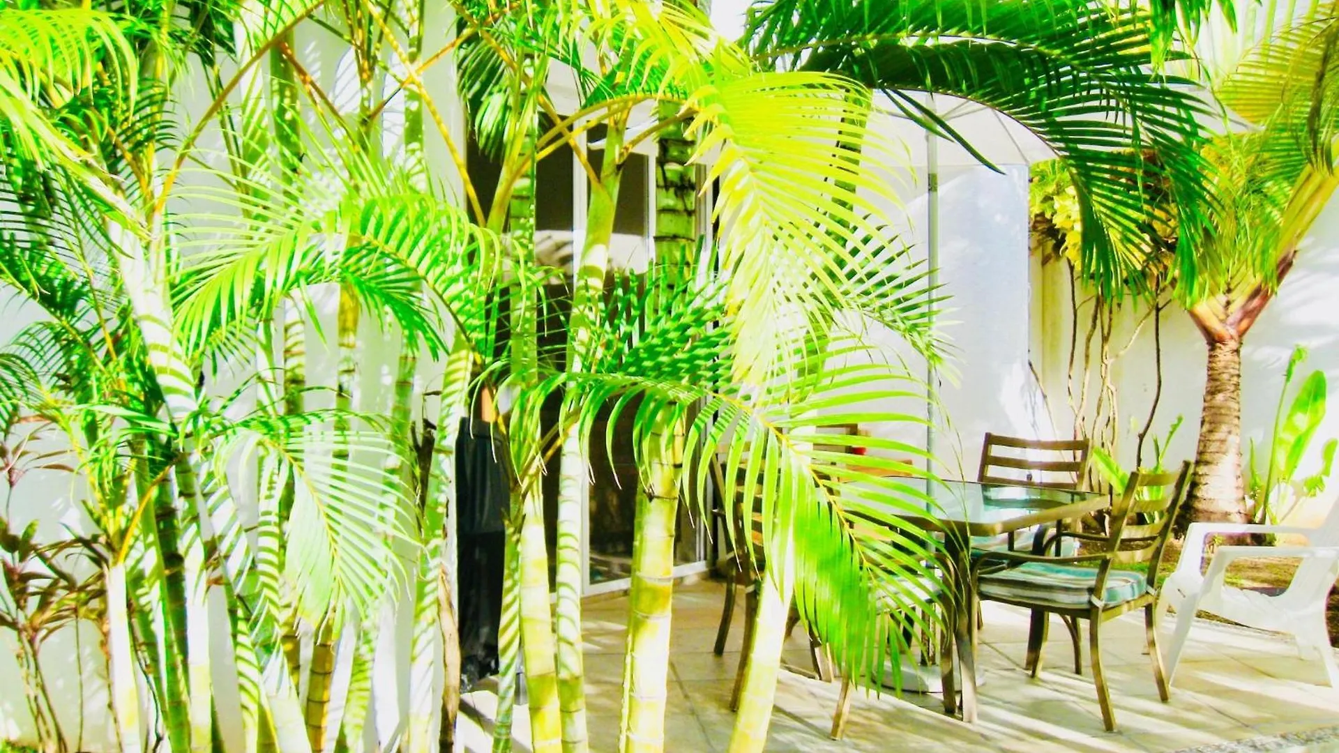 Deluxe Budget Balcony Room With Swimming Pool Air Conditioning And Parking Playa del Carmen
