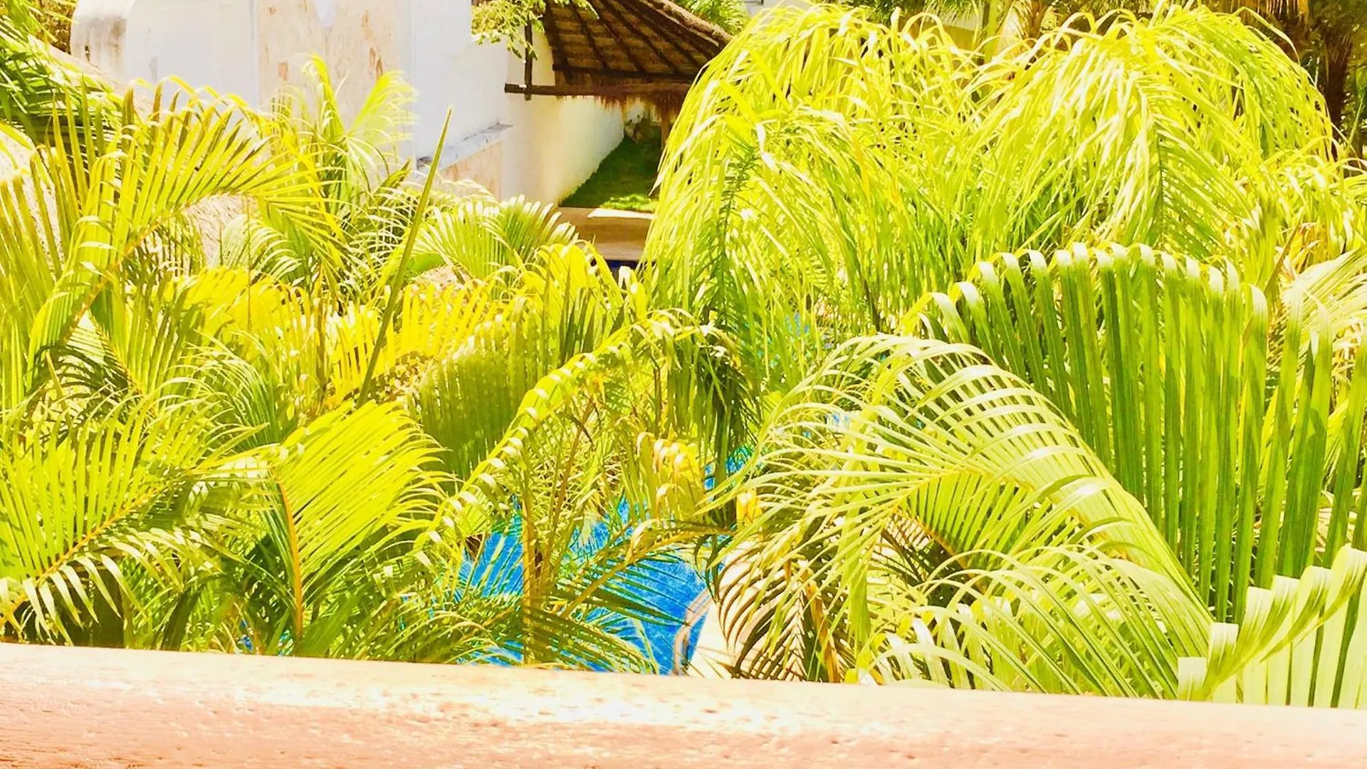 Deluxe Budget Balcony Room With Swimming Pool Air Conditioning And Parking Playa del Carmen 3*,  Mexico