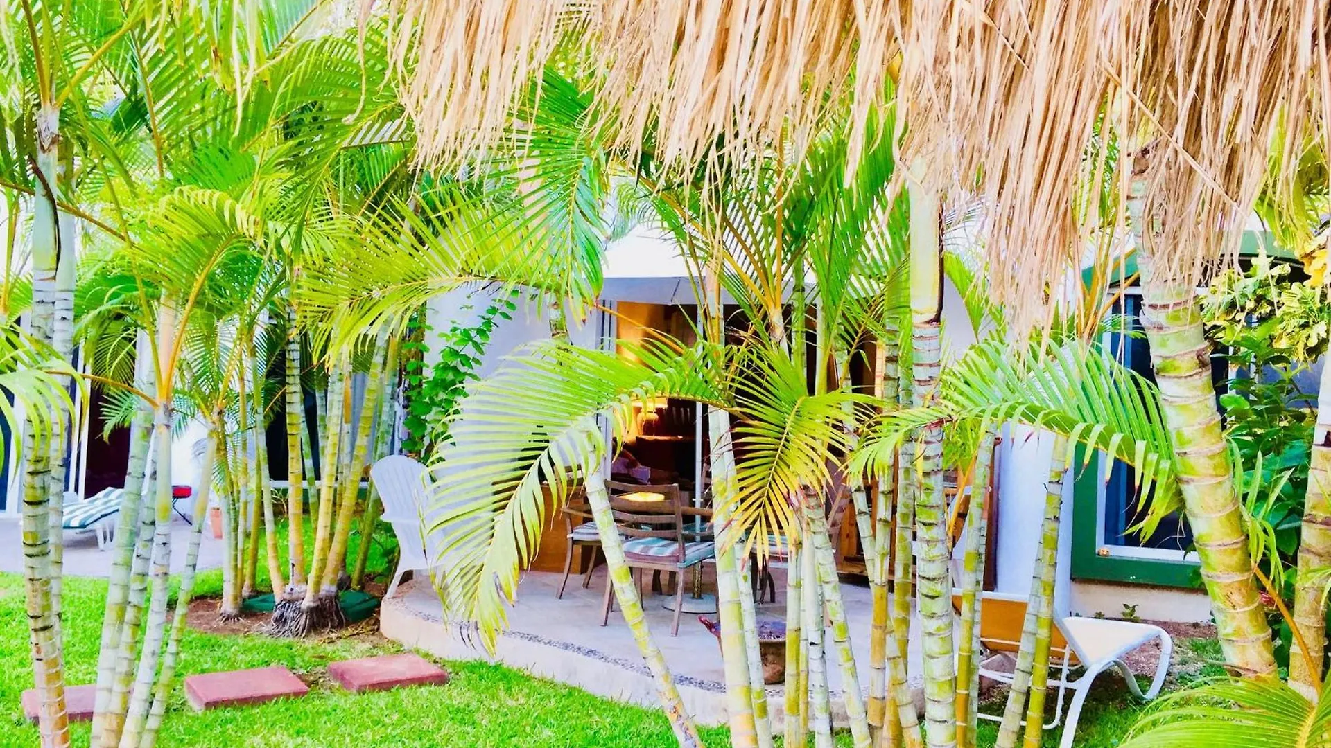 Deluxe Budget Balcony Room With Swimming Pool Air Conditioning And Parking Playa del Carmen Guest house