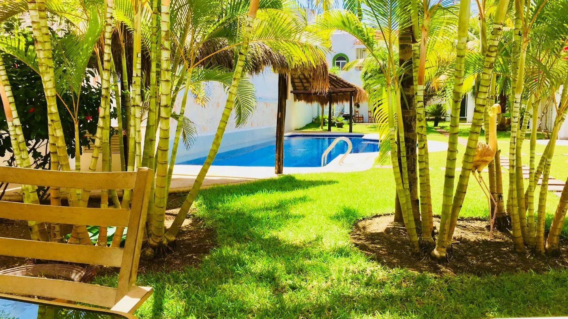 Deluxe Budget Balcony Room With Swimming Pool Air Conditioning And Parking Playa del Carmen 3*,  Mexico